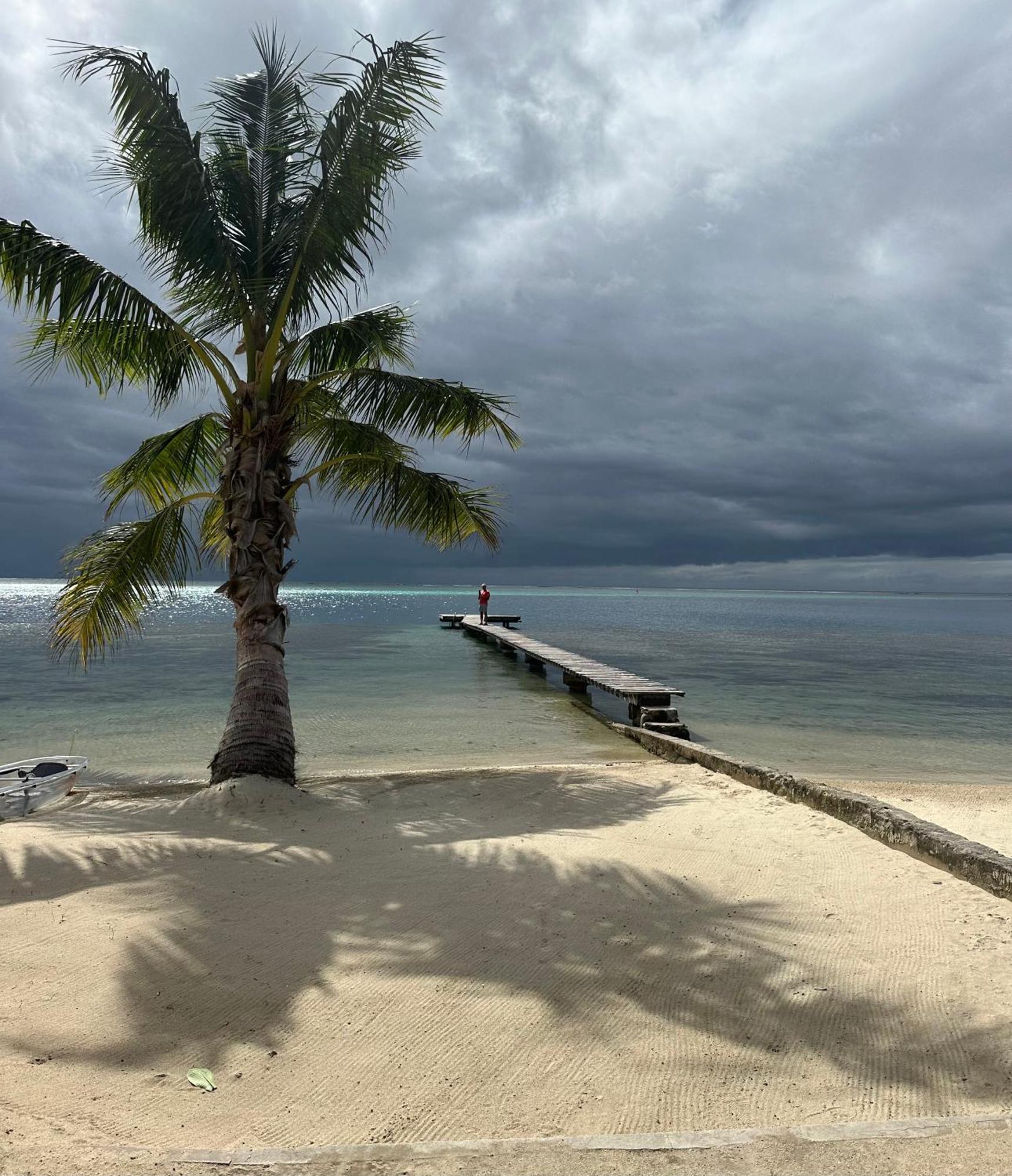 Chez Jay Moorea Beach House Villa Maharepa  Exteriör bild